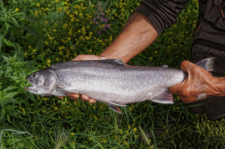 Inbound marketing is like landing the perfect trout.png