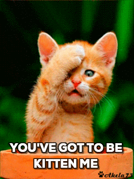 You've got to be kitten me You've got to be kitten me