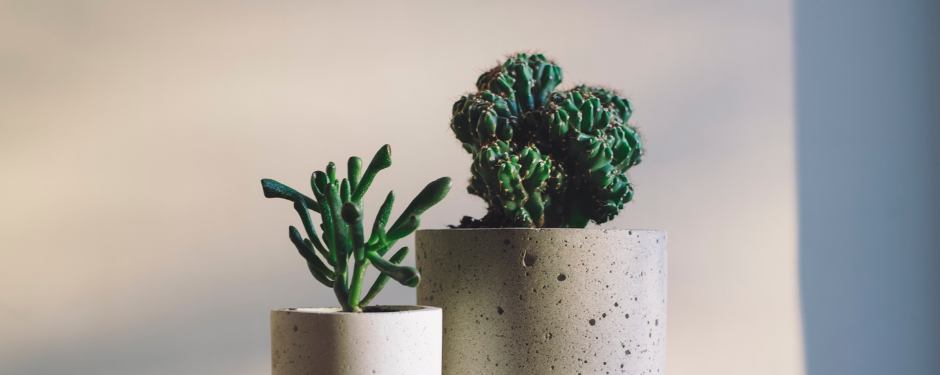 11 HubSpot charts to show your value as a marketing department